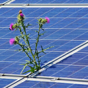 SMART Solar Program in West Hills