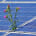 SMART Solar Program in West Hills