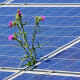 SMART Solar Program in West Hills
