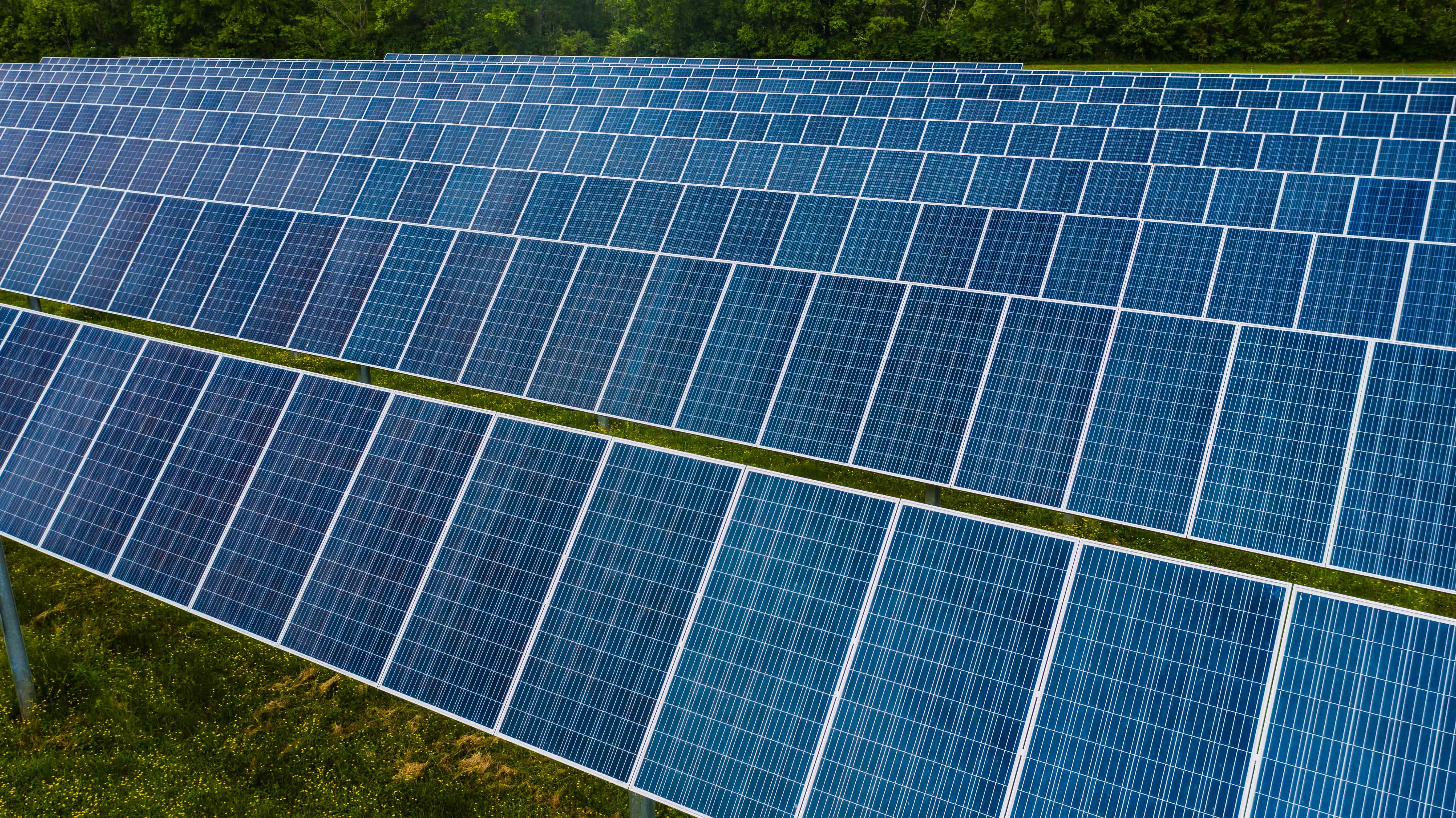 Rows of ground-mounted blue solar panels on a grassy field, raising the question of whether Long Island solar still makes sense without the federal solar tax credit.