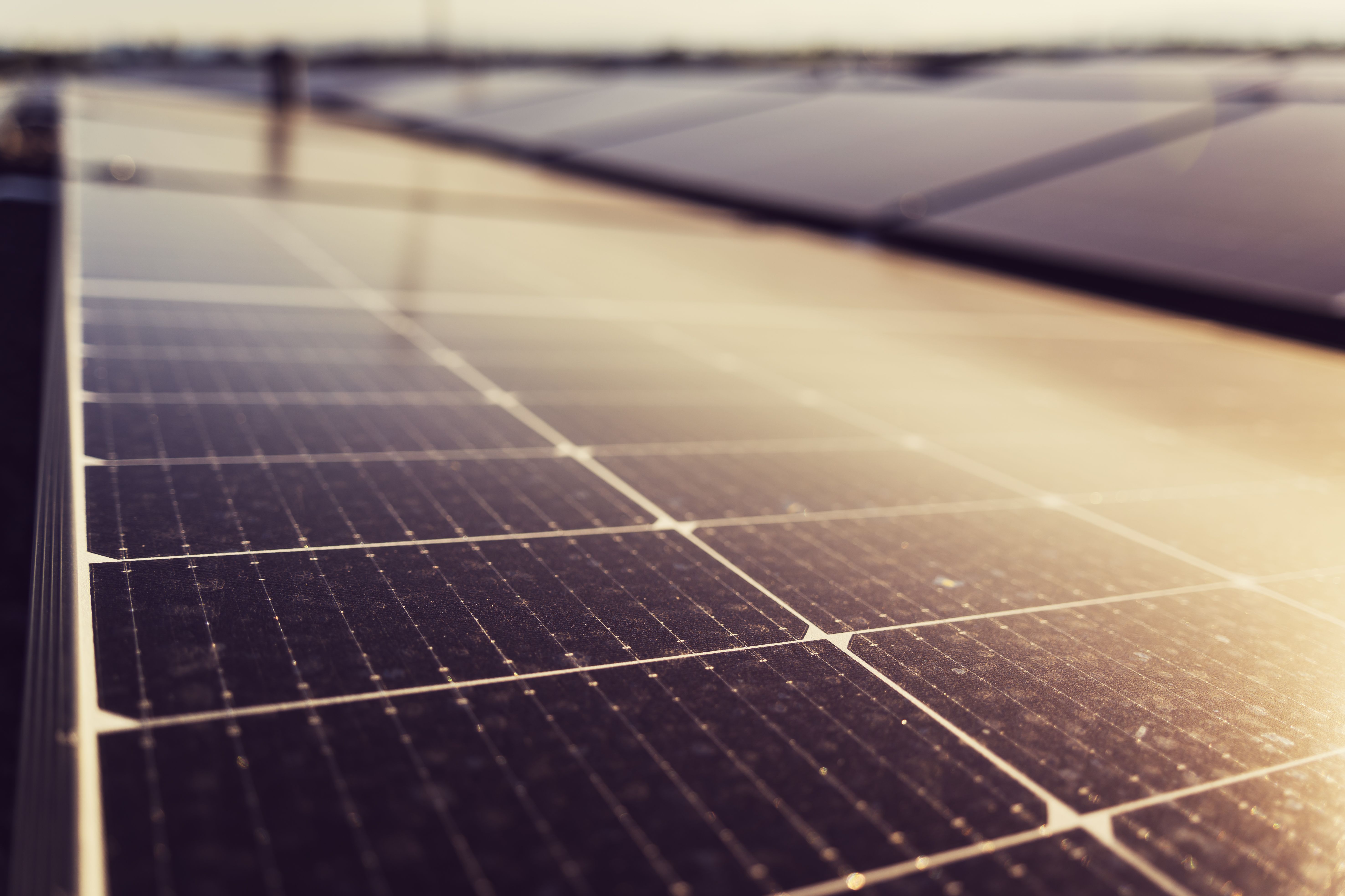 Close-up of rooftop solar panels glowing in warm sunset light, illustrating how the Participate Energy solar lease works on Long Island.